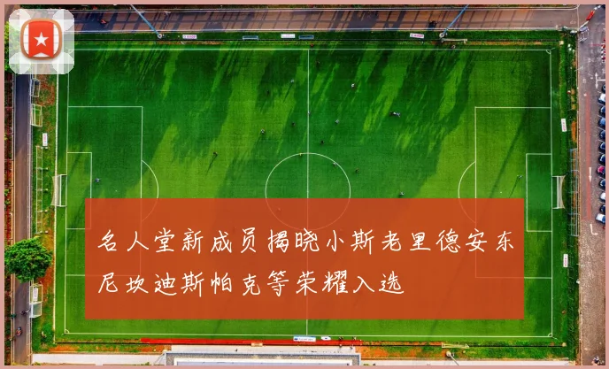 名人堂新成员揭晓小斯老里德安东尼坎迪斯帕克等荣耀入选